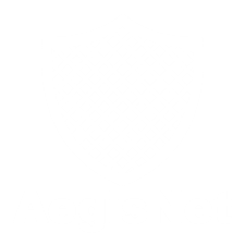aegisnet logo white transparent